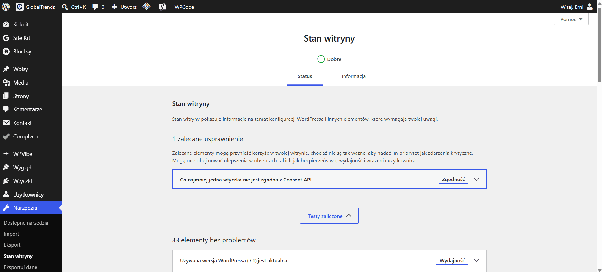 Stan witryny WordPress i diagnostyka konfiguracji
